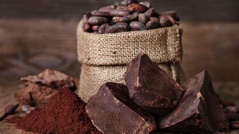 Cacao and the Pursuit of Happiness: A Philosophical Examination